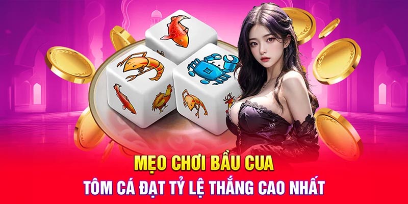 Mẹo chơi bầu cua tôm cá đạt tỷ lệ thắng cao nhất